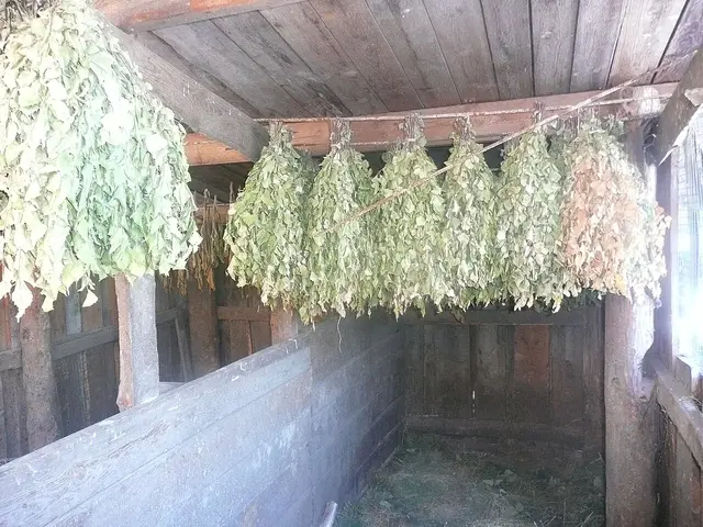 Банные практики — 3