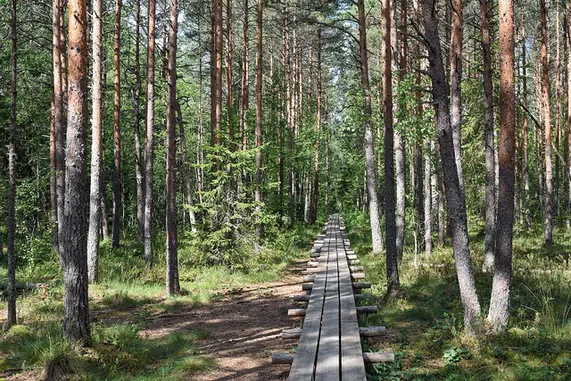 Экотуры — 1