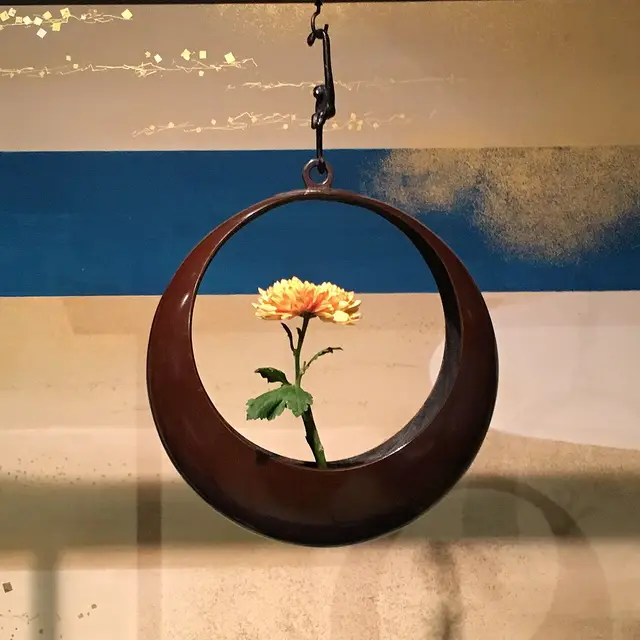 Флористика — 3