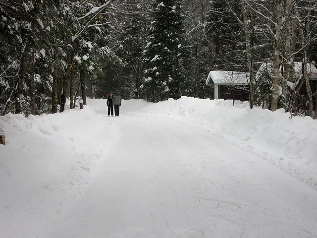 Коньки — 1