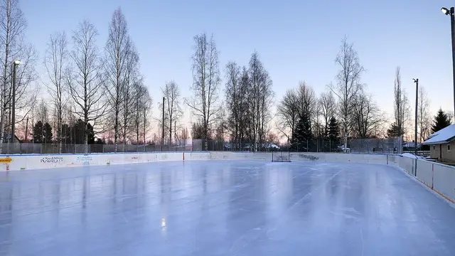 Коньки — 2