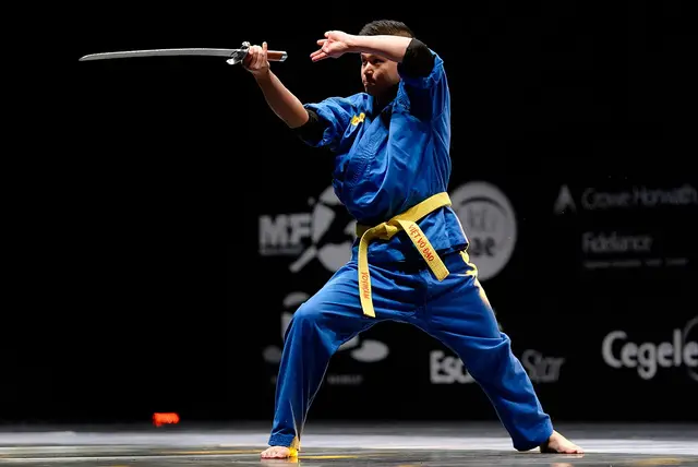 Вьетводао (Vovinam) — 1