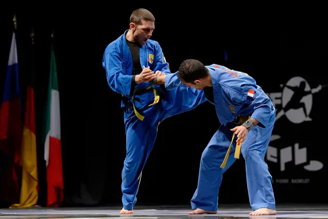 Вьетводао (Vovinam) — 2