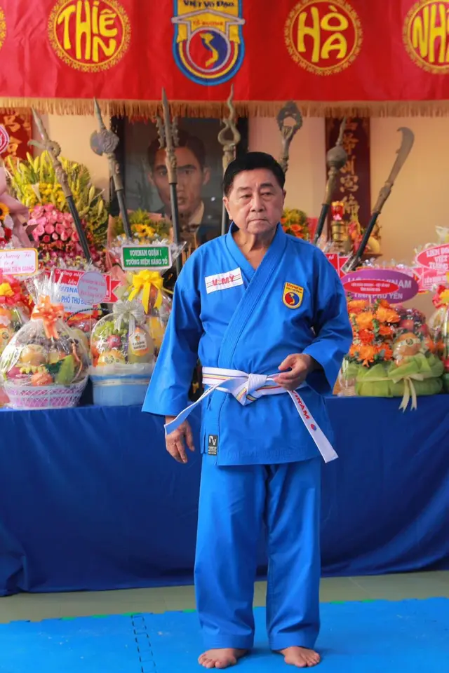 Вьетводао (Vovinam) — 3
